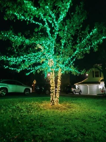 Holiday Lighting by Tús Nua Lawn & Landscape