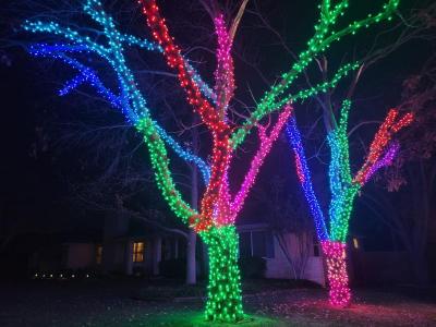 Holiday Lighting by Tús Nua Lawn & Landscape